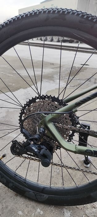 Велик Мурат горный.