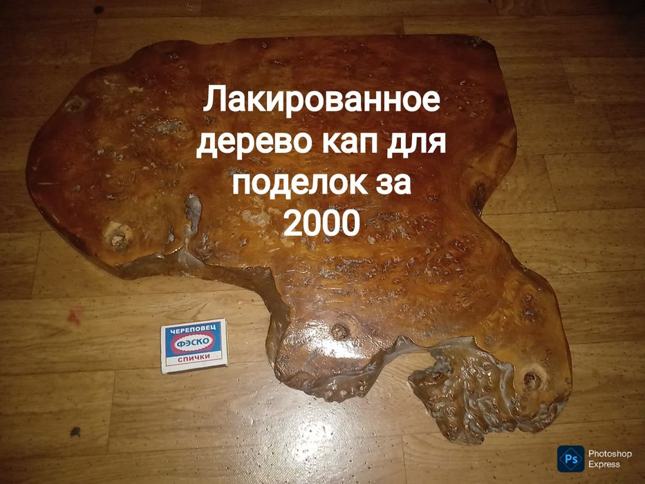 Ценная порода дерева