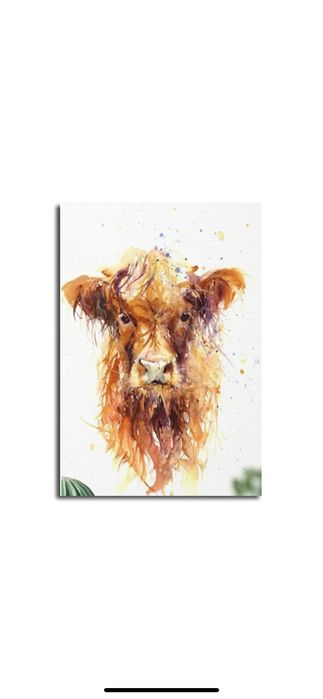 Set pictura pe numere "Shukqueen", 40x50cm. panza, fara rama