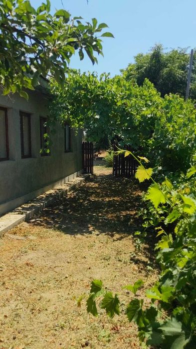 Casă bătrânească la șosea principală Ograda, Ialomița