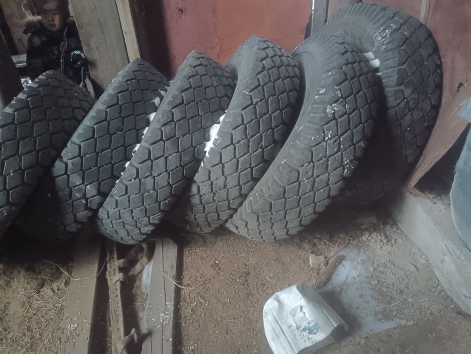 Шина на камаз р 10