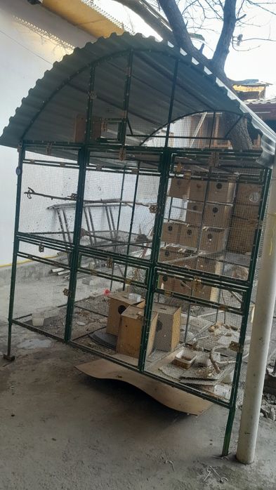 Срочно сотилади катаг