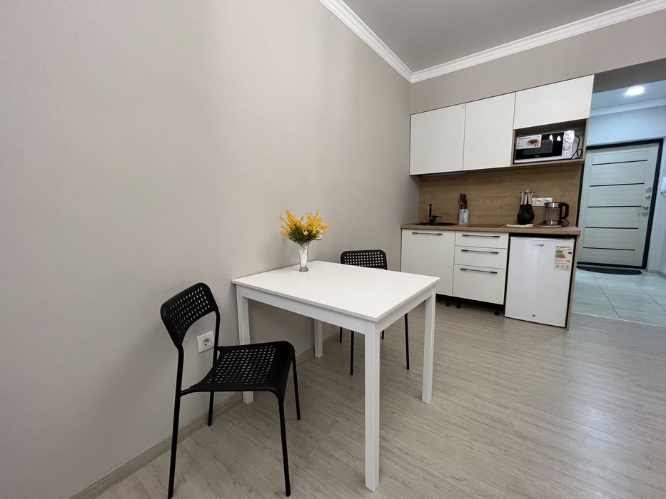 1 комнатные апартаменты на Арбате