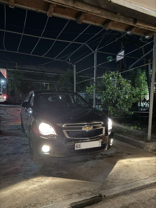 Cobalt MIDNIGHT 2025