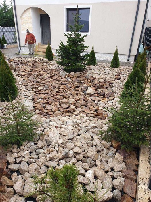 pepeniera de arbori cu radacina libera