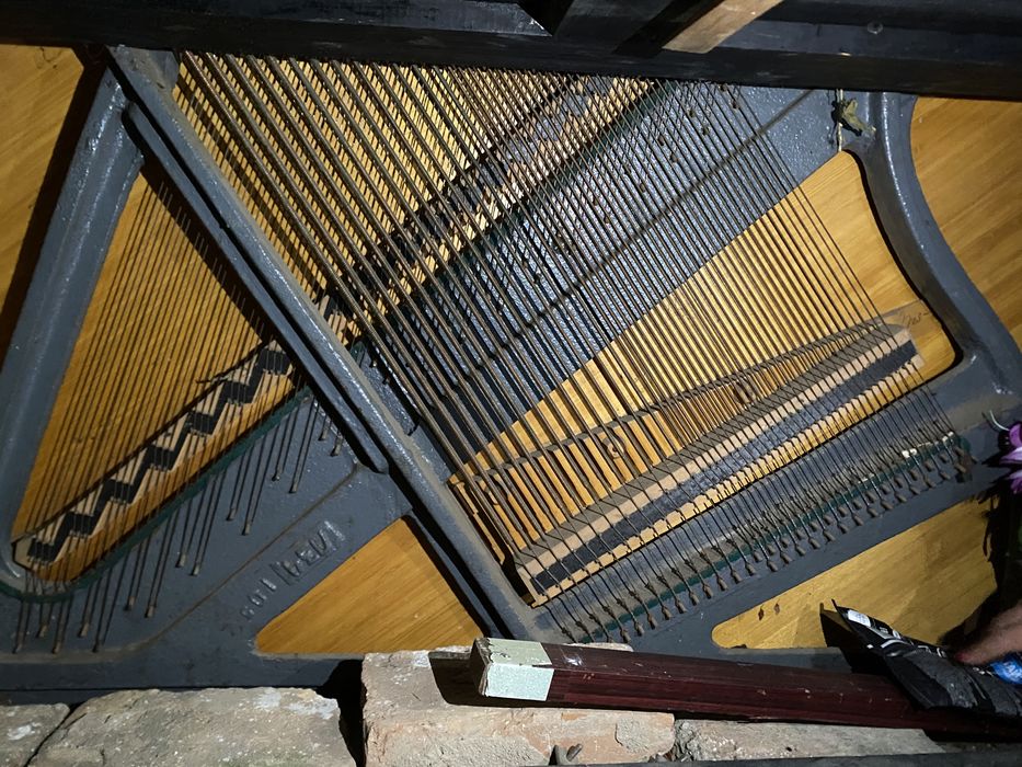 музыкальный инструментты