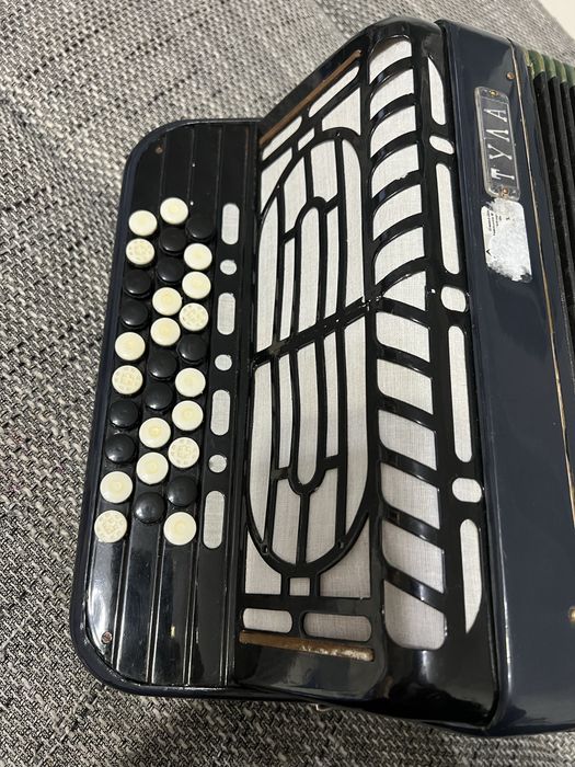 Acordeon TYAA pentru  copii  in stare buna