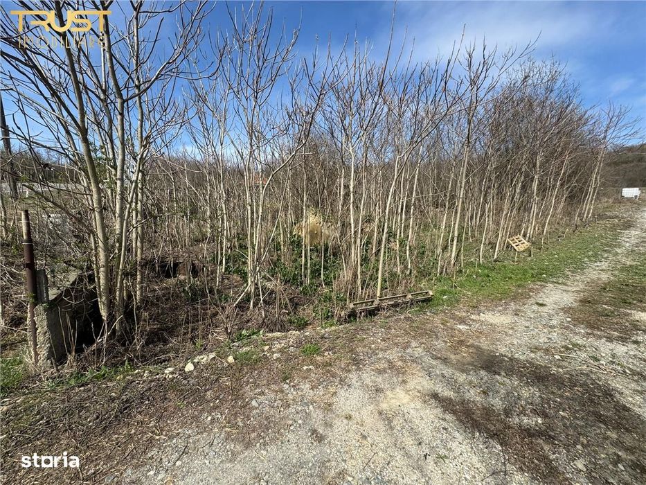 Teren Parcelabil I 11400 MP I Corpadea