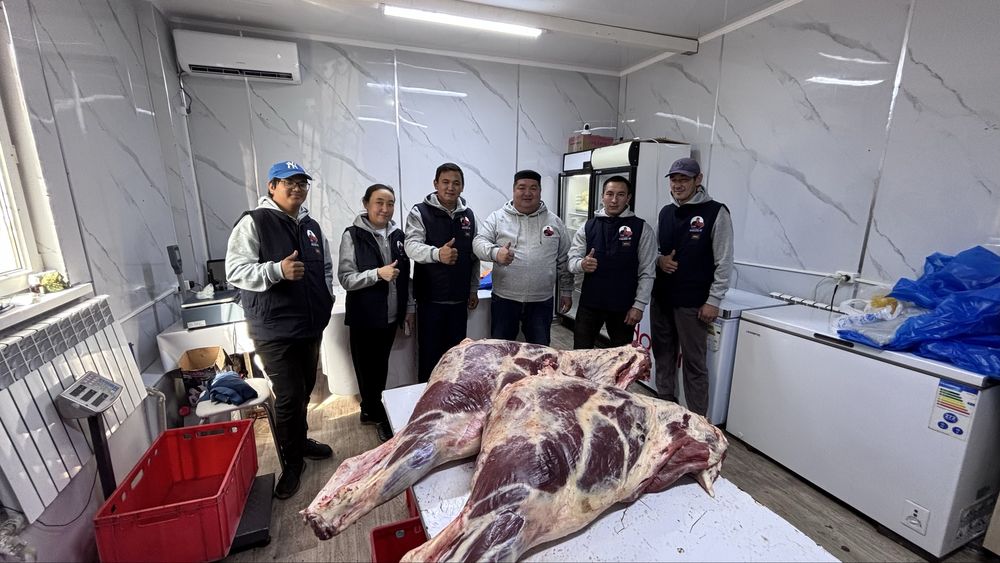 Соғым жылқы еті, конина