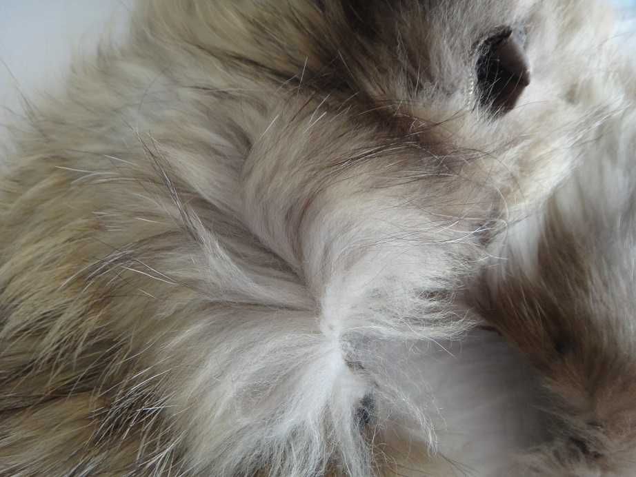 Нова италианска широка яка от лисица естествен косъм