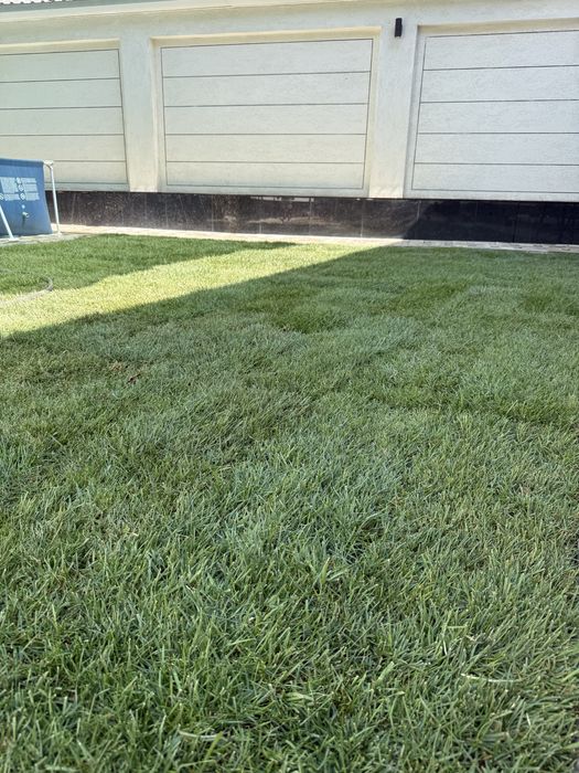 газон оптом нархда установка полив установка