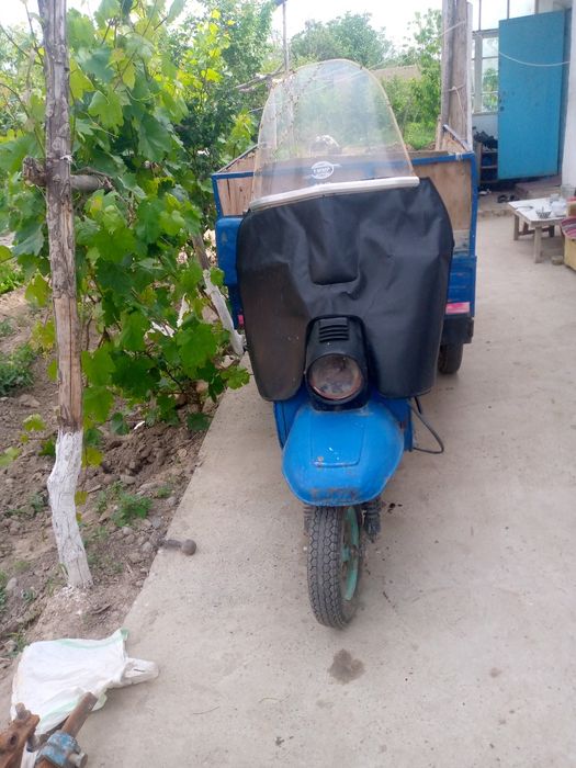 .Муравей холати жуда яхши турибди жойидан юради