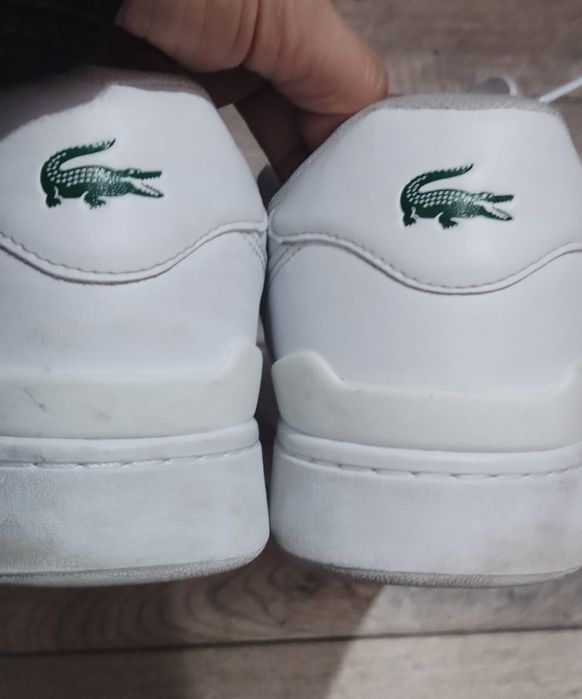Adidași Lacoste Nr 44