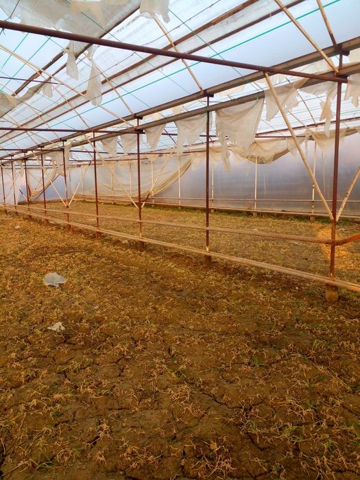 Иссикхона сотилади