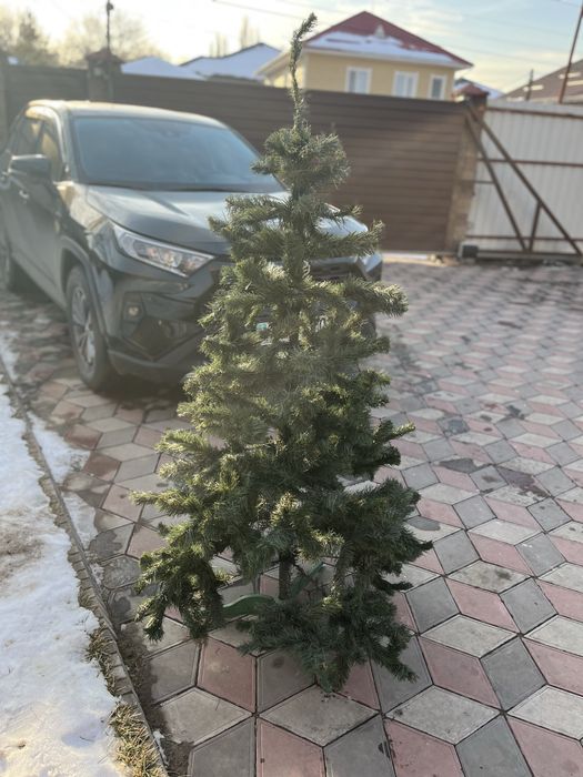 Елка качественая