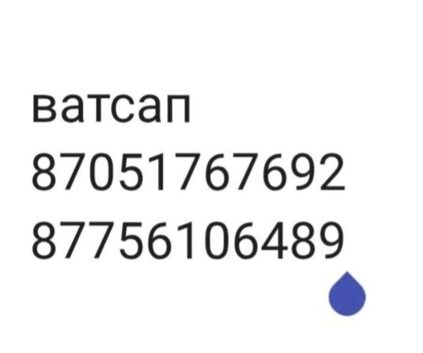 Набор для рыбалки