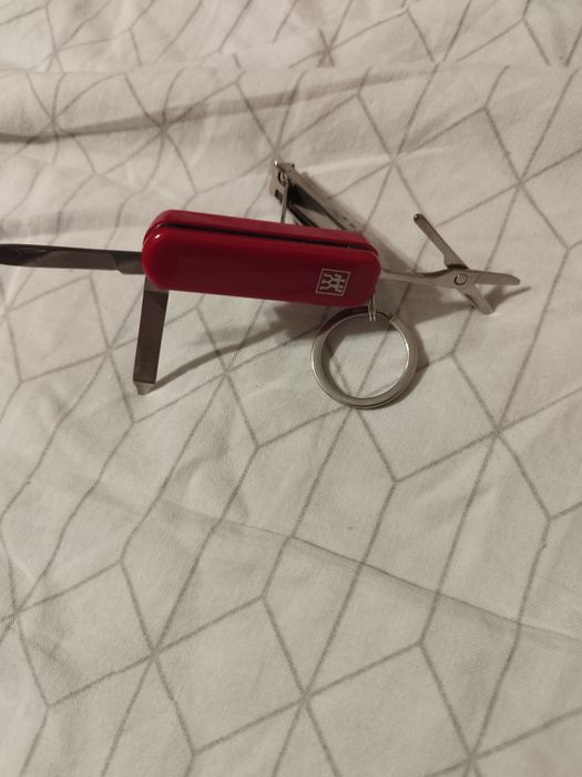 Briceag Elveția.      .