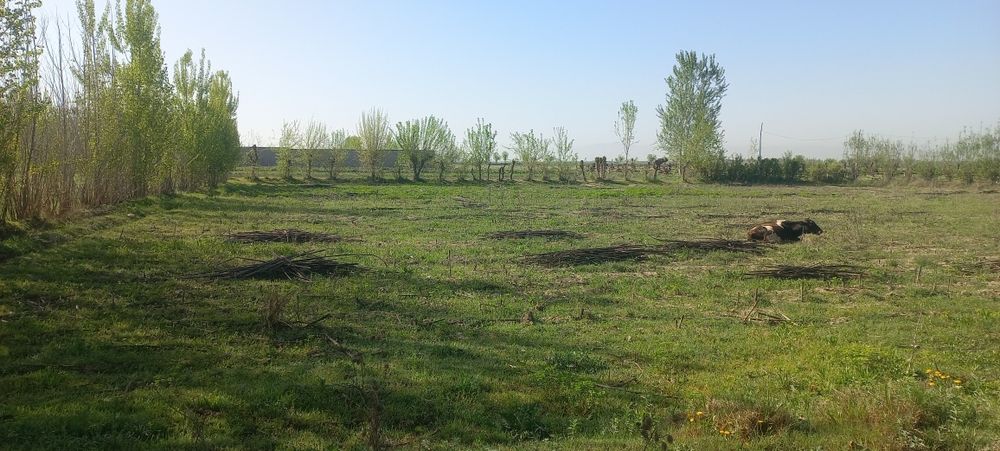 Srochni yer sotiladi