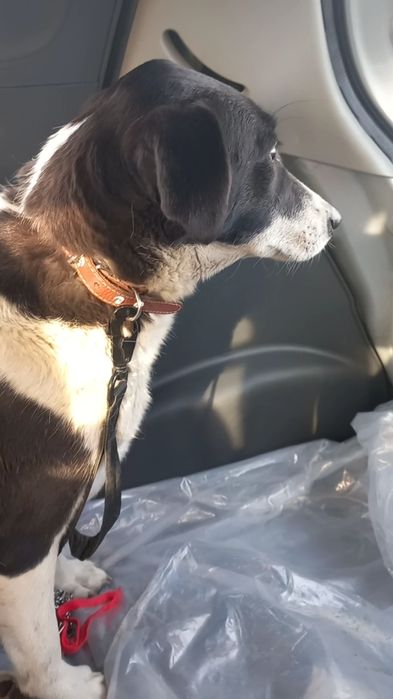 В поиске любящей семьи