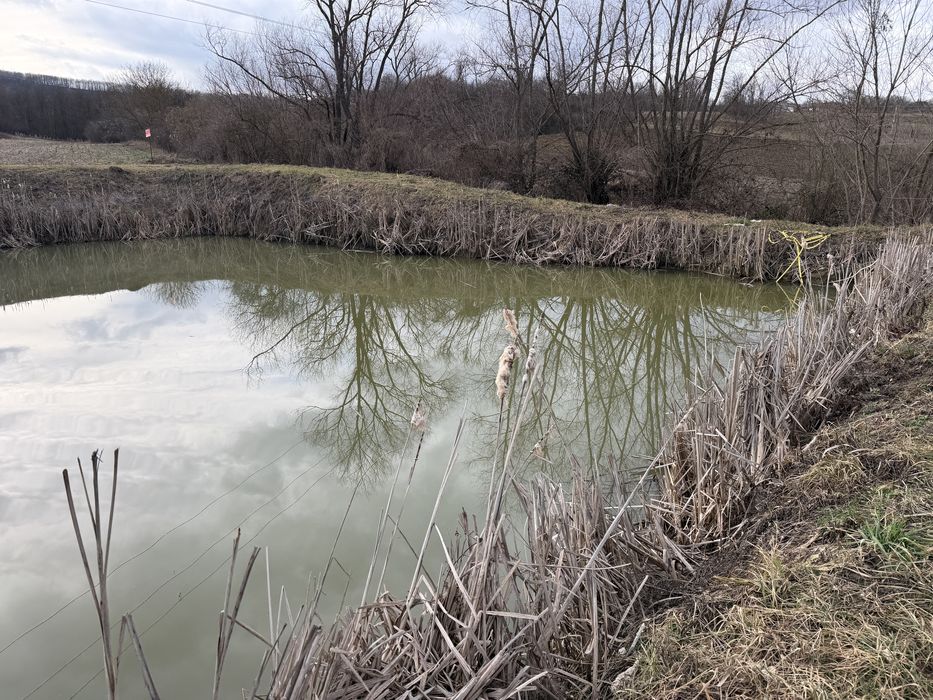 Vand pescarie cu loc de casa /cabana