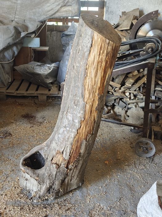 Хралупа различни видове.