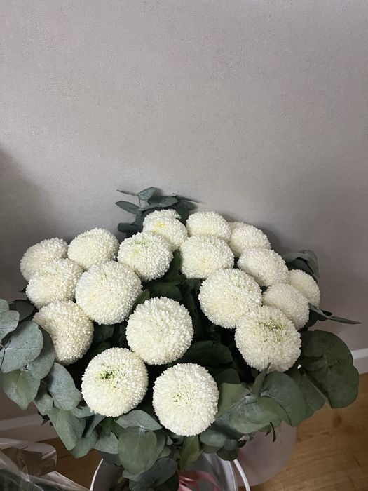 Продам цветы букеты