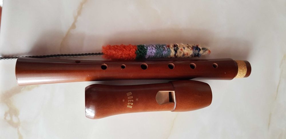 Vind instrument muzical  petru cunoscatori.