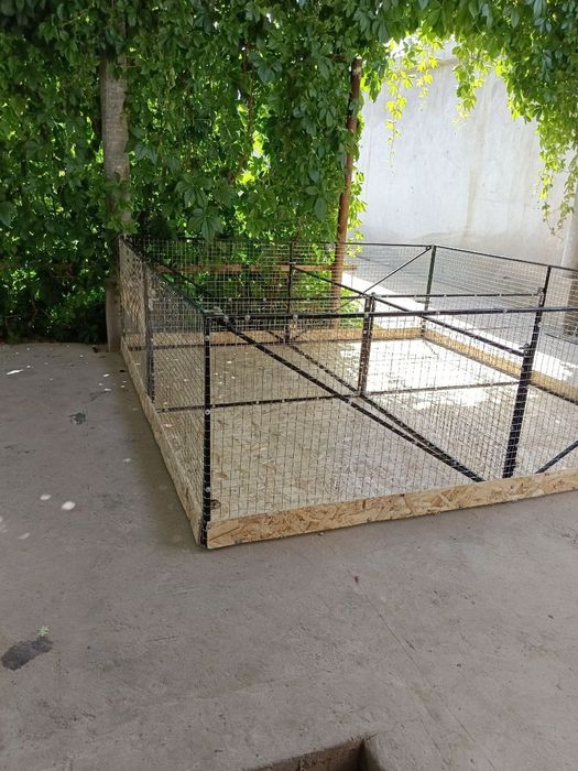 Manej sotiladi va zahazga yasab beriladi