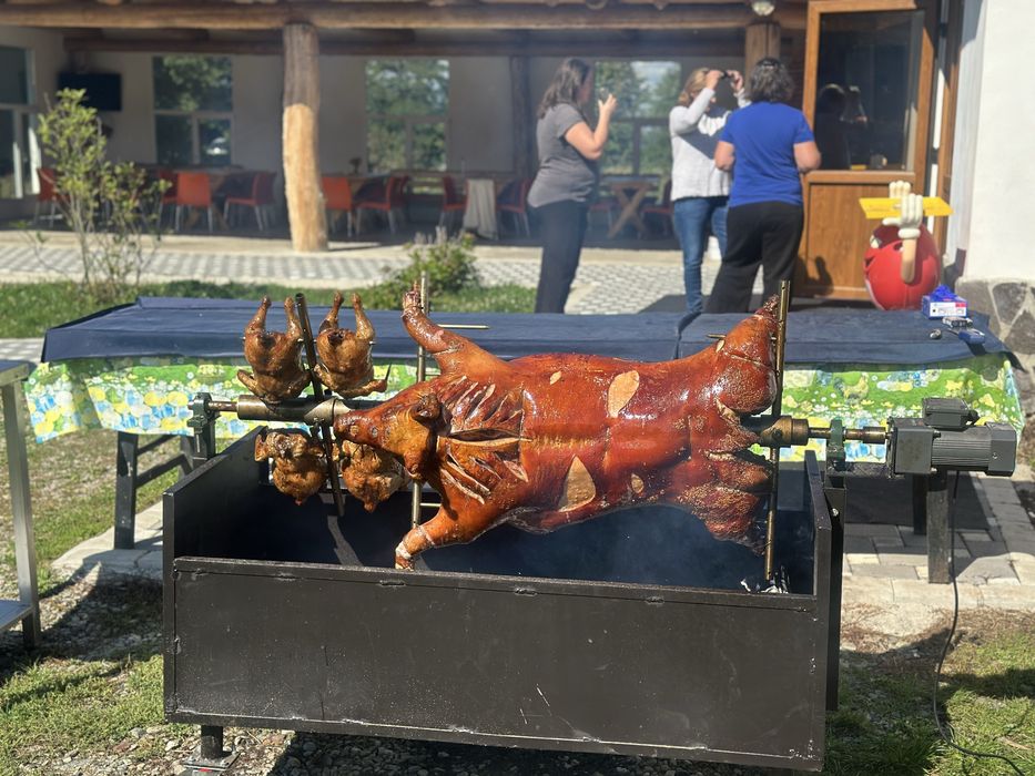 Porc la protap + meniu complet de nunta