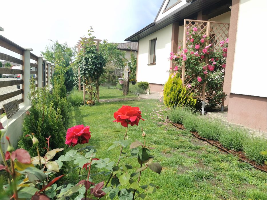 Casa parter  sat Miroslava