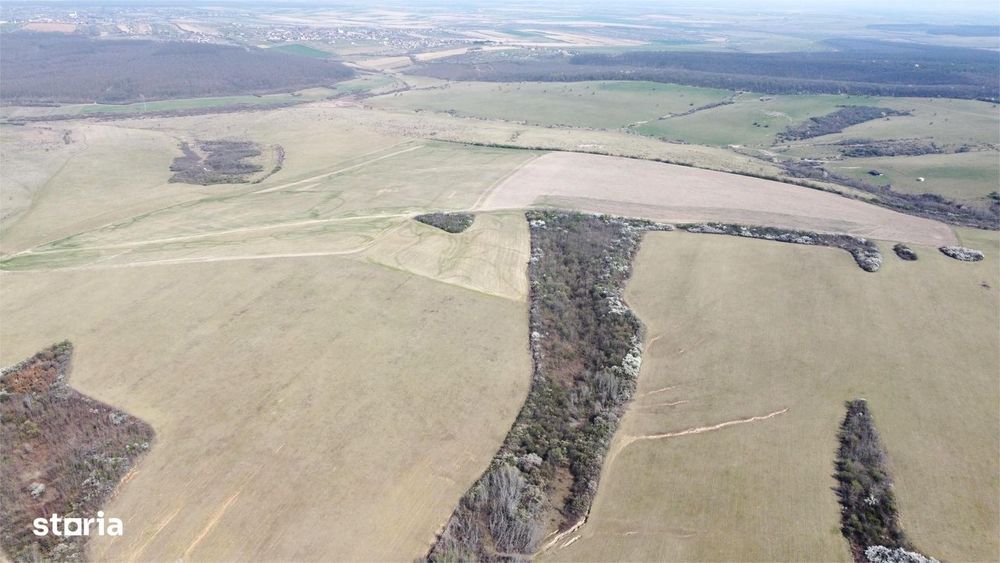Teren 26.82 ha Ardud | Oportunitate pentru dezvoltare