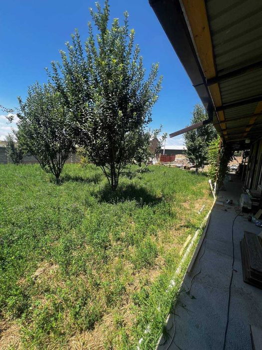 Назарбекда ётиш учун жой! 5 кишилик янги хоналар, енг арзон хостел