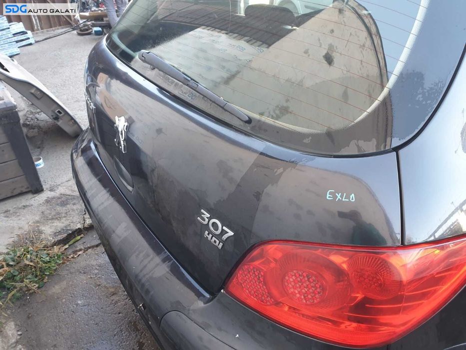 Hayon Haion Portbagaj Dezechipat cu Luneta Geam Sticla Peugeot 307 Hatchback 2002 - 2008 Culoare EXLD