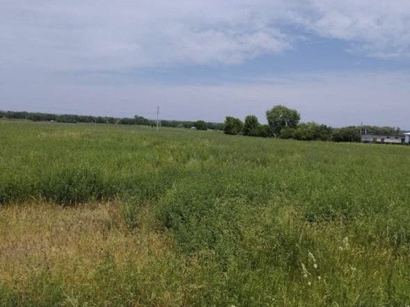 Поля на продажу