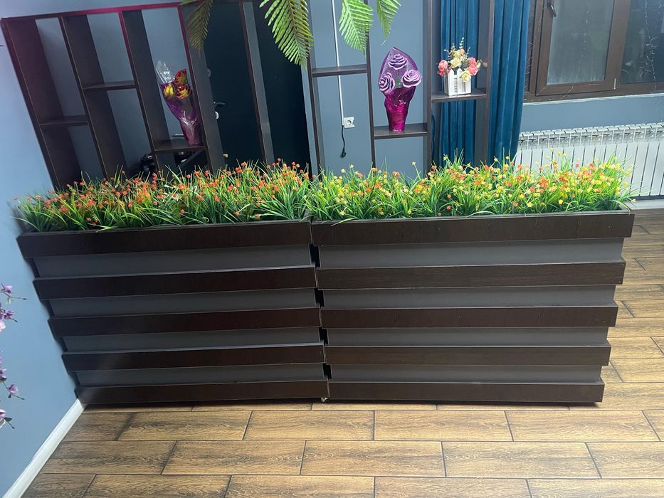 декор  цветов бағасы 15000