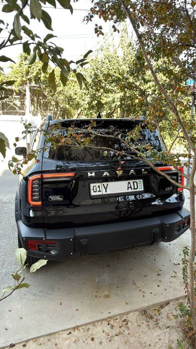 Haval Dargo full 25