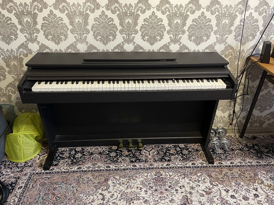 Пивнино цифравое