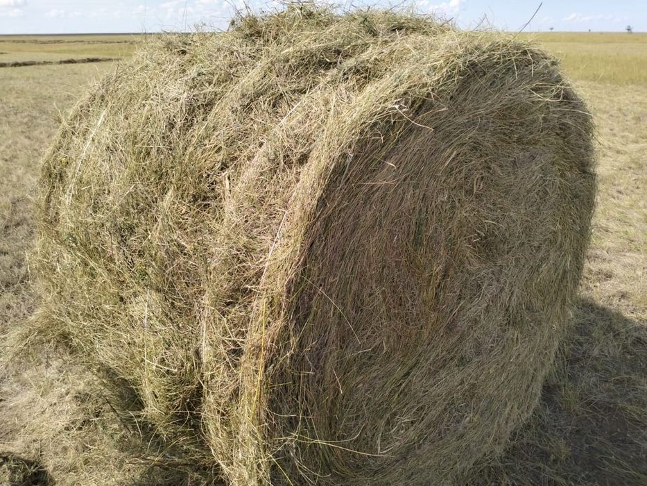 Сено в рулонах, самовызов