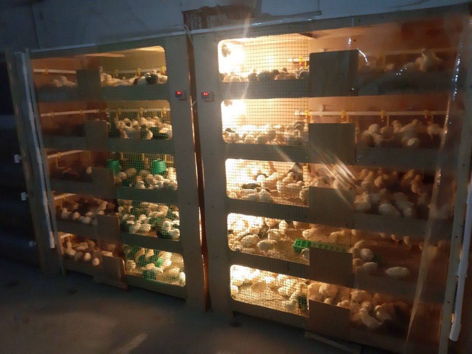 Продам инкубатор новый