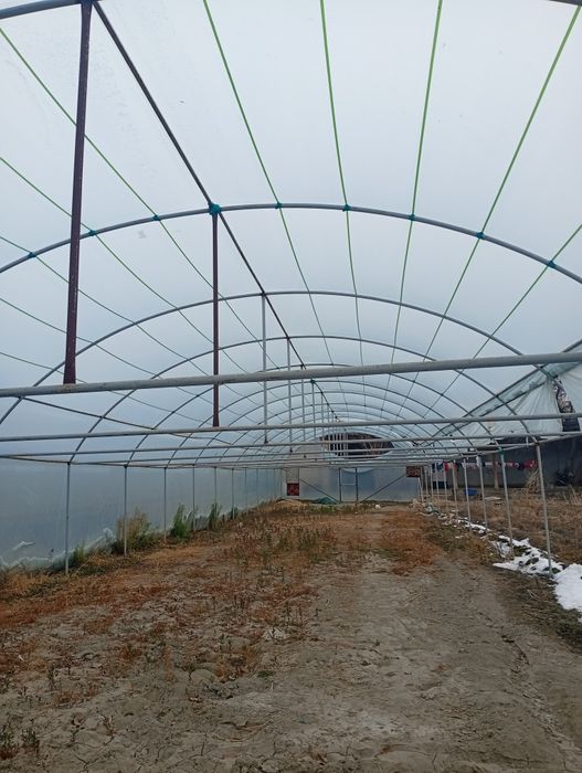 Иссикхона сотилади