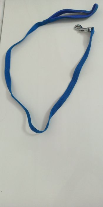 Поводок для собак