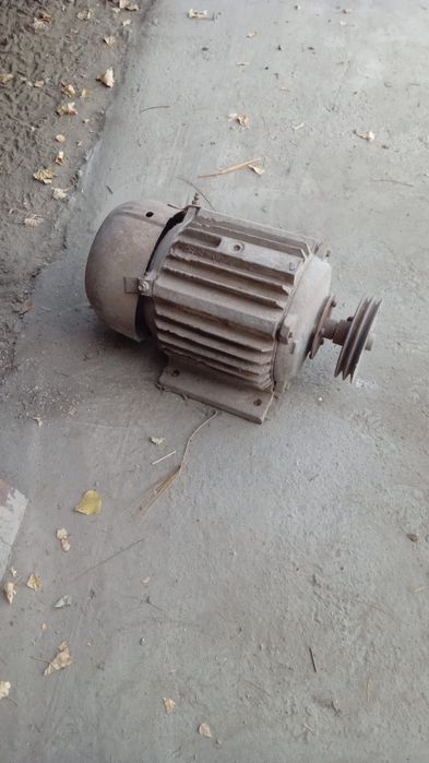 Бир ой кафолати бор