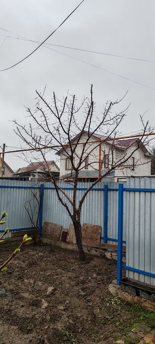 Садовые услуги доступные цены