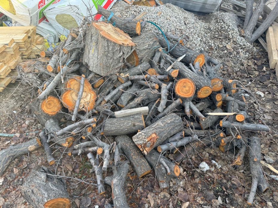 Продаю дрова сухие