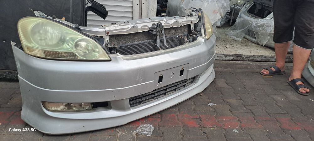 Ноускат для Ипсум