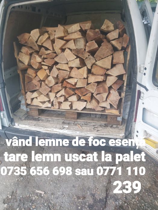 Vând lemn de foc esență tare stejar și fag uscat la palet. 0735 656 69
