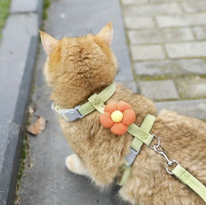 Новые  переноски для животных