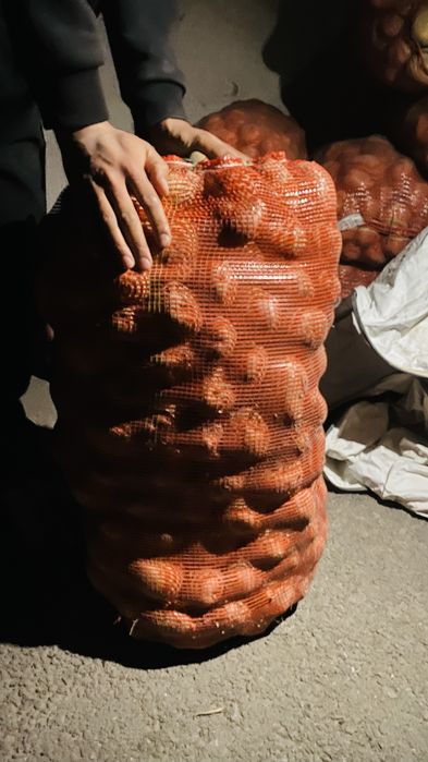 Картоп нарынқолдан