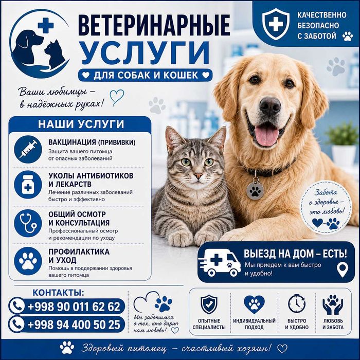 Ветеринарные услуги - "Vet house"