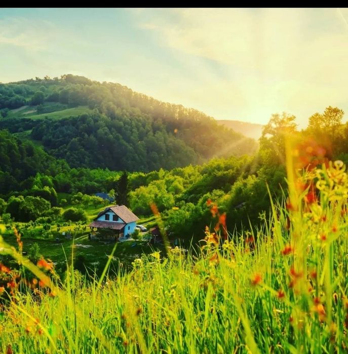 Cabana de închiriat capacitate este de 6 persoane!